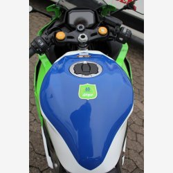 Kawasaki Ninja ZX-4RR 399 77HK 6g 2024