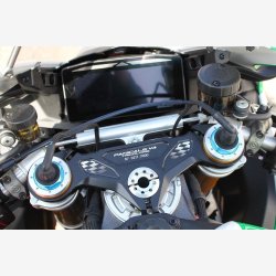 Ducati Panigale 1103 Tricolore 216HK 6g 2025