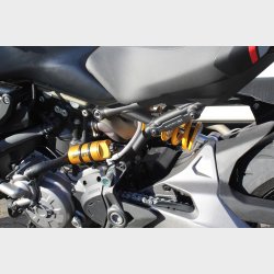 Ducati Monster 821 821 Stealth 109HK 6g 2020