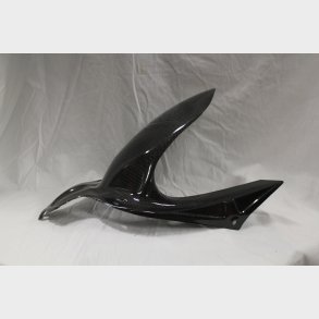 Ducati Performance Carbon Bagskrm Monster 696