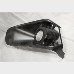 Ducati Carbon Nglecover Monster 821