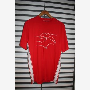 Desmosedici - T-shirt